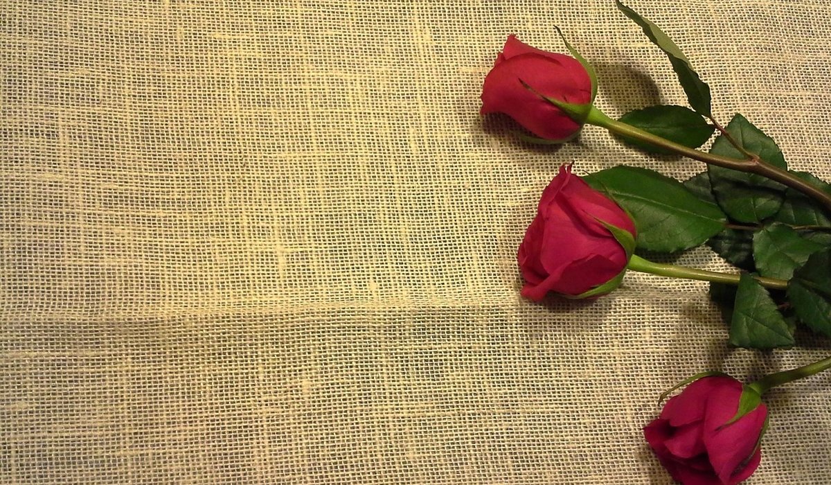 Layering Linen Curtains for Soft Natural Light